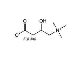 关于热传：纳达尔亏损创英超纪录的信息